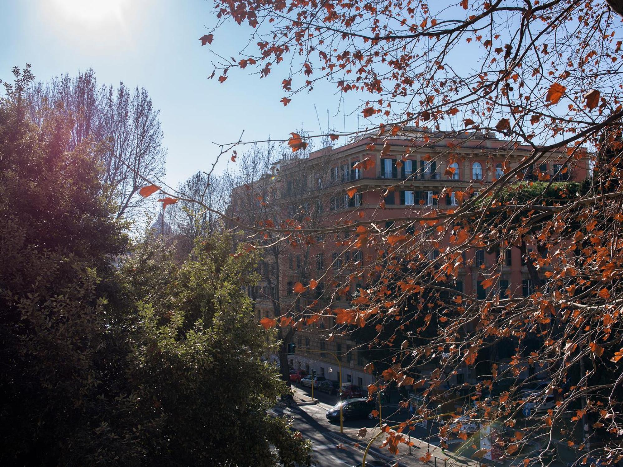 The - Vatican Appartement